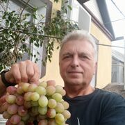 ���������� ��������������, ���� ������� ������, 61 ���, ������������ ��� ����� � ���������, c�������� ���������