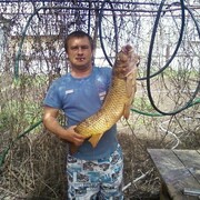 ���������� ������, ���� ������� ���������, 41 ���, ������������ ��� ������, ����� � ���������, c�������� ���������