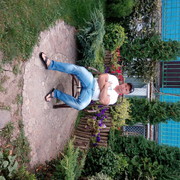  ,   , 40 ,   , 