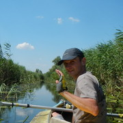 ���������� ��������, ���� ������� ���������, 41 ���, ������������ ��� ������, ����� � ���������, c�������� ���������