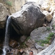 ���������� �������, ���� ������� Rovshik, 50 ���, ������������ ��� ������, ����� � ���������, c�������� ���������