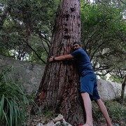 ���������� ��������, ���� ������� ��������, 44 ����, ������������ ��� ������, ����� � ���������