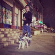���������� �������, ���� ������� Jakhangir, 32 ����, ������������ ��� ������, ����� � ���������, c�������� ���������