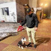 ���������� ���������, ������� �����, 37