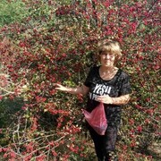  ,   , 72 ,   c 