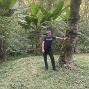 ���������� ������, ���� ������� �����, 36 ���, ������������ ��� ������, ����� � ���������, c�������� ���������