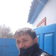  -,   , 37 ,   