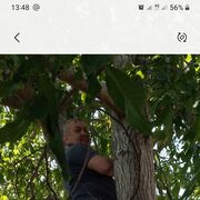  ,   , 52 ,   ,   
