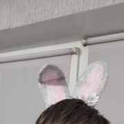 ���������� ����, ���� ������� ��������, 33 ����, ������������ ��� ����� � ���������, c�������� ���������, ���������