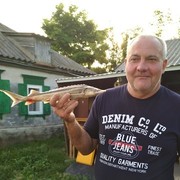 ���������� ������, ���� ������� ��������, 62 ����, ������������ ��� ������, ����� � ���������, c�������� ���������