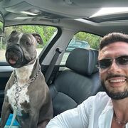 ���������� ������, ���� ������� ����, 36 ���, ������������ ��� ������, ����� � ���������