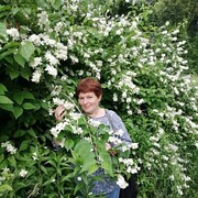  ,   , 57 ,   ,   