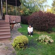 ���������� �������, ���� ������� �������, 46 ���, ������������ ��� ���������