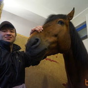  ,   Mustang, 44 ,   ,   , c 