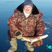  ,   , 54 ,   ,   , 
