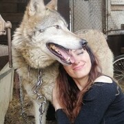  Bielany Wroclawskie,   , 40 ,   , 