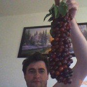 ���������� ������, ���� ������� Viorel, 54 ����, ������������ ��� ������, ����� � ���������, c�������� ���������