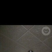 ���������� �����������, ���� ������� ������, 46 ���, ������������ ��� ����� � ���������, c�������� ���������