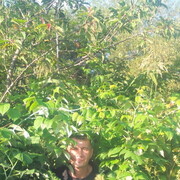 ���������� ����-���������, ���� ������� �����, 44 ����, ������������ ��� ������, ����� � ���������, c�������� ���������