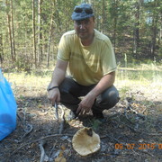  -,   , 49 ,   ,   , c 