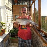 ���������� ������� ��������, ���� ������� ��������, 56 ���, ������������ ��� ����� � ���������, c�������� ���������