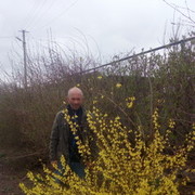  ,   Vitali, 63 ,     , c 