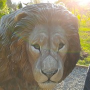 ���������� ������, ���� ������� ������, 40 ���, ������������ ��� ������, ����� � ���������, c�������� ���������