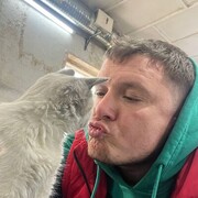 ���������� ������, ���� ������� ���������, 40 ���, ������������ ��� ������, ����� � ���������, c�������� ���������, ���������