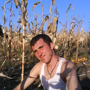  ,   Cembers1, 36 ,   