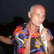  Novy,   Gazali, 58 ,   ,   , c 
