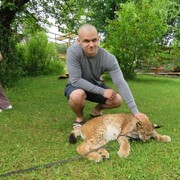 ���������� ���������, ���� ����� ���������, 24 ����, ������������ ��� ������, ����� � ���������