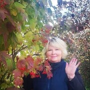 ���������� ����������, ���� ������� ������, 57 ���, ������������ ��� c�������� ���������