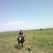 ���������� ������, ���� ������� ������, 43 ����, ������������ ��� ������