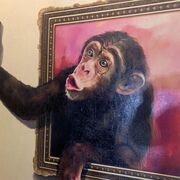 ���������� ���, ���� ������� Man, 41 ���, ������������ 