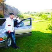 ���������� ������, ���� ������� Pet, 33 ����, ������������ ��� ������, ����� � ���������, c�������� ���������