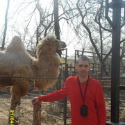 ���������� �������, ���� ������� �������, 37 ���, ������������ ��� ������, ����� � ���������, c�������� ���������