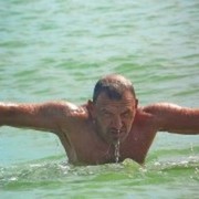  ,   SERGO, 50 ,   ,   , c 