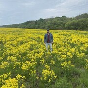 ���������� ���������, ���� ������� �����, 33 ����, ������������ ��� ������, ����� � ���������, ���������