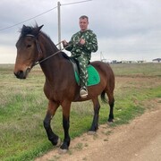 ���������� �����������, ���� ������� �������, 37 ���, ������������ ��� ������, ����� � ���������, c�������� ���������, ���������