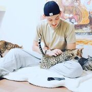 ���������� �������, ���� ������� �����, 31 ���, ������������ ��� ������, ����� � ���������