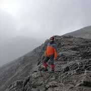 ���������� �������������-����������, ���� ������� ������, 40 ���, ������������ ��� ������, ����� � ���������, c�������� ���������, ���������