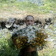 ���������� �������, ���� ������� ����, 39 ���, ������������ ��� ������, ����� � ���������, c�������� ���������