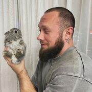 -,   , 29 ,   ,   