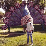  ,   , 26 ,   ,   , c 