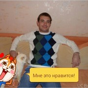  --,   , 49 ,   