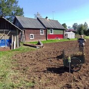 ���������� ������������, ���� ������� �������, 36 ���, ������������ ��� ������, ����� � ���������, c�������� ���������, ���������