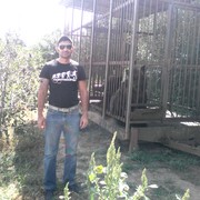 ���������� ����������, ���� ������� ����, 41 ���, ������������ ��� ������, ����� � ���������, c�������� ���������