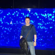 ���������� �������, ���� ������� ����, 38 ���, ������������ ��� ������, ����� � ���������, c�������� ���������