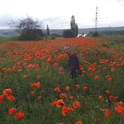 ���������� ������, ������� ������, 34