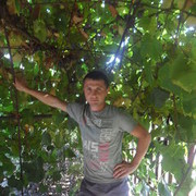  ,   , 37 ,  